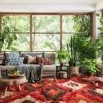 Best Area Rug for Your Room