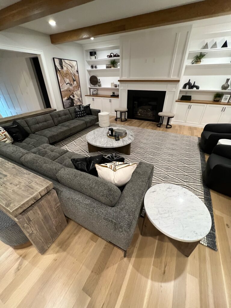 Hockey Players Retreat Living Room Seating and Area Rug