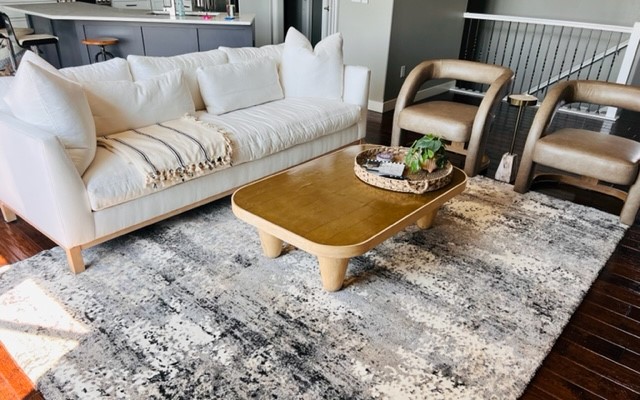 Organic Contemporary Living Room Area Rug