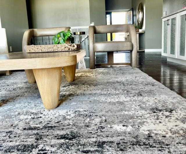 Organic Contemporary Main Hangout Area Rug