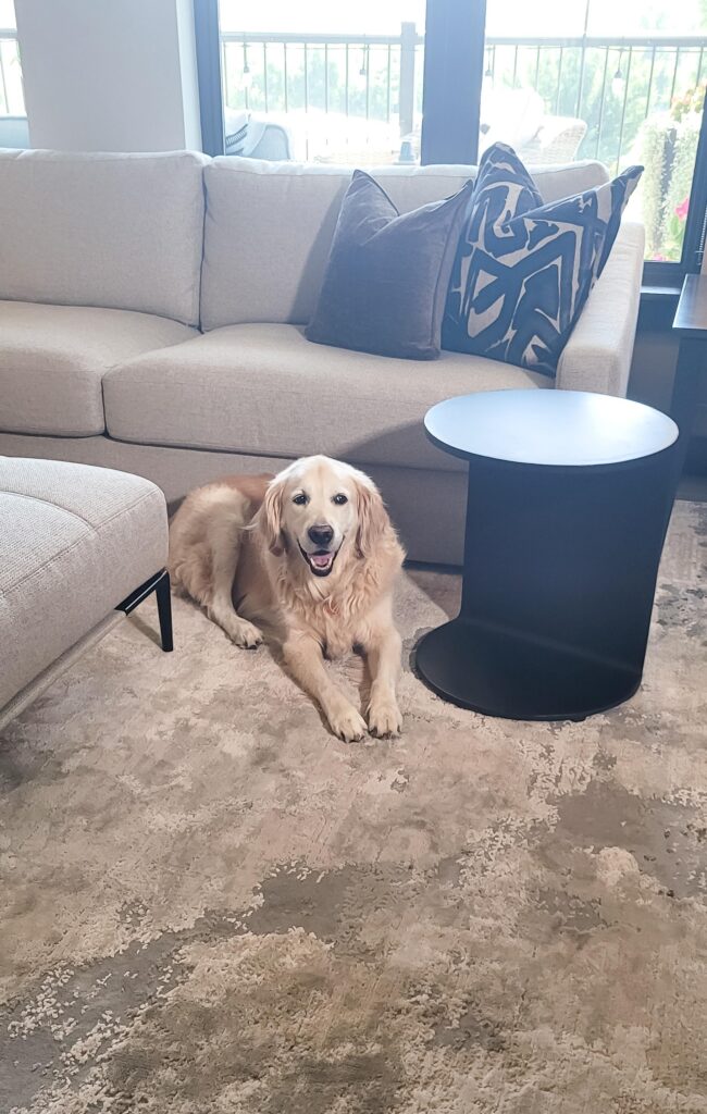 Village Loft Living Room End Table