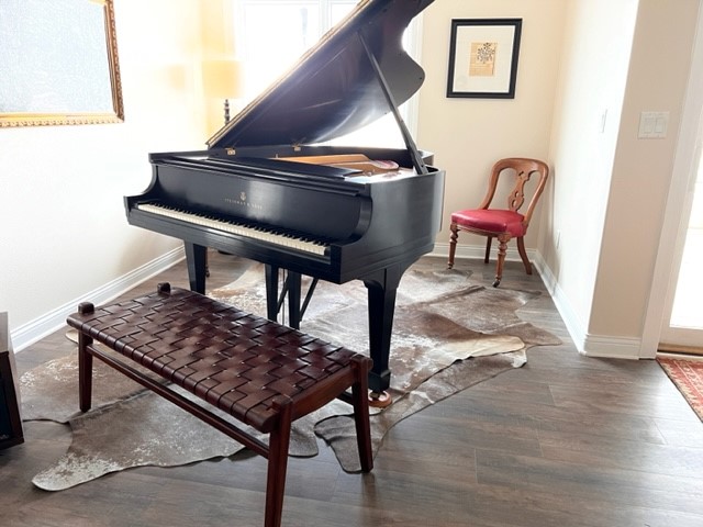 Earthy Lower Level Piano