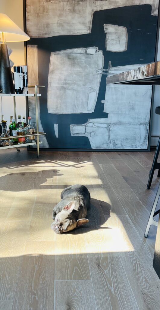 designers kitchen homeowner pet