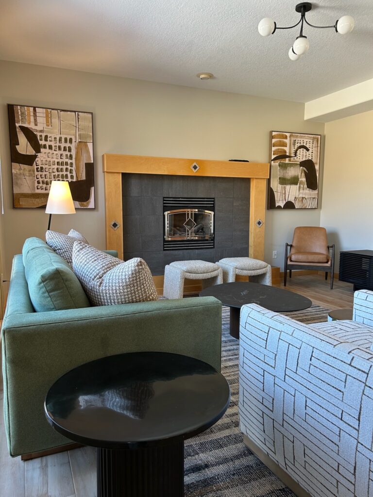 modern and playful living room furnishings